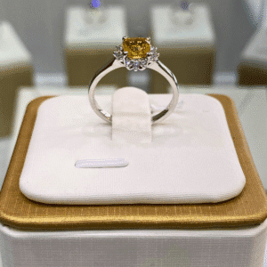 Ring 24